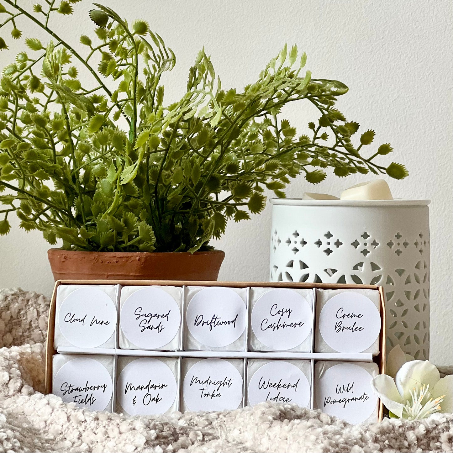 Discover Lola Bloom Gift Set
