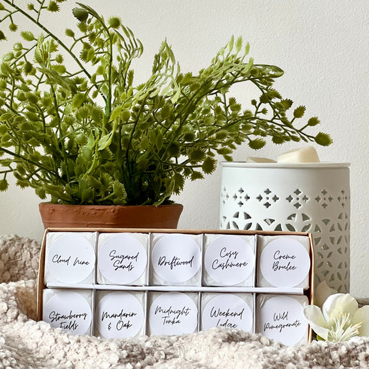 Discover Lola Bloom Gift Set